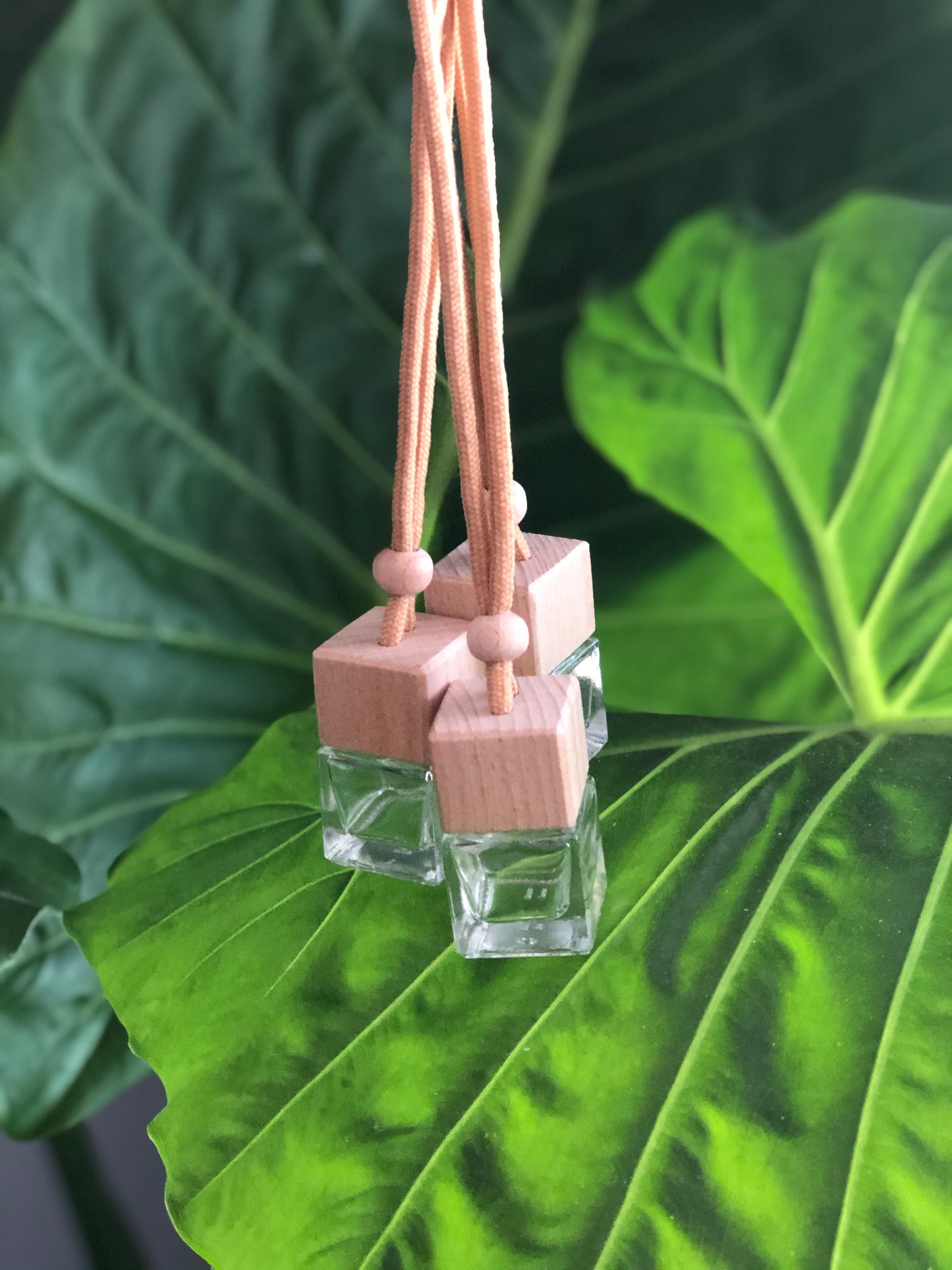 Hanging Car Diffuser
